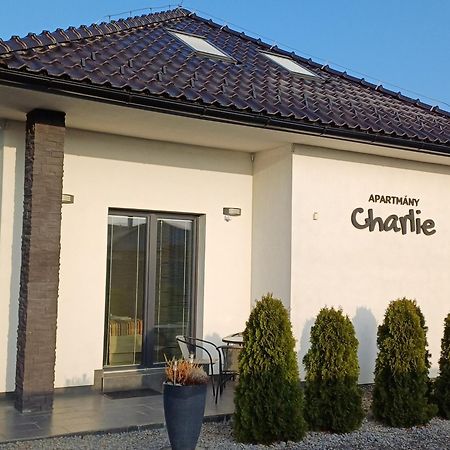 Apartmány Charlie Bešeňová Exterior foto